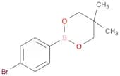 4-Bromophenylboronic acid neopentyl glycol ester