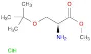 H-Ser(tBu)-OMe.HCl