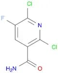 2,6-dichloro-5-fluoropyridine-3-carboxamide