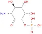 2-Amino-2-deoxy-D-glucose 6-phosphate