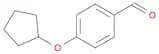 4-(Cyclopentyloxy)benzaldehyde