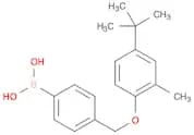 4-[(4-tert-Butyl-2-methylphenoxy)methyl]phenylboronic acid