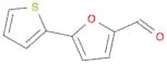 5-(2-Thienyl)-2-furancarboxaldehyde