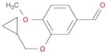 3-Cyclopropylmethoxy-4-methoxybenzaldehyde