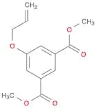 1,3-Benzenedicarboxylic acid, 5-(2-propenyloxy)-, dimethyl ester