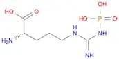 (S)-2-Amino-5-(3-phosphonoguanidino)pentanoic acid