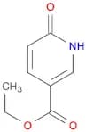6-Hydroxynicotinic acid ethyl ester