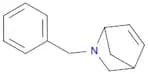2-benzyl-2-azabicyclo[2.2.1]hept-5-ene
