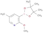 2-Methoxy-5-methyl-3-(4,4,5,5-tetramethyl-1,3,2-dioxaborolan-2-yl)-pyridine