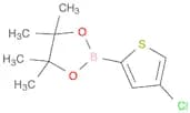4-Chlorothiophen-2-boronic acid, pinacol ester