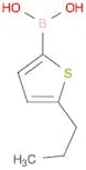 Boronic acid,(5-propyl-2-thienyl)- (9CI)