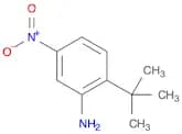 2-(tert-Butyl)-5-nitroaniline