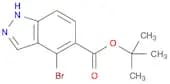 tert-Butyl 4-bromo-1H-indazole-5-carboxylate