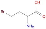2-AMINO-4-BROMOBUTANOIC ACID