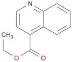 Ethyl quinoline-4-carboxylate