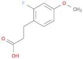 3-(2-Fluoro-4-methoxyphenyl)propanoic acid