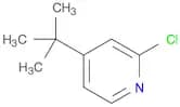 4-(tert-Butyl)-2-chloropyridine