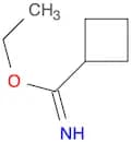 Ethyl cyclobutanecarbimidate