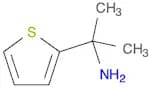 1-Methyl-1-thiophen-2-yl-ethylaMine