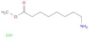 Octanoic acid, 8-amino-, methyl ester, hydrochloride