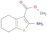 2-amino-4,5,6,7-tetrahydro-benzo[B]thiophene-3-CARBOXYLIC ACID METHYL ESTER