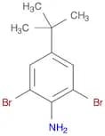 2,6-Dibromo-4-tert-butylaniline