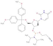 DMT-DU AMIDITE 0.25G, AB, SINGLE