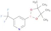 5-(Trifluoromethyl)pyridine-3-boronic acid pinacol ester