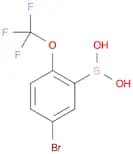 5-BROMO-2-(TRIFLUOROMETHOXY)PHENYLBORONIC ACID