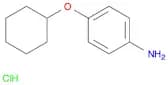 4-(Cyclohexyloxy)aniline hydrochloride