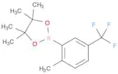 2-Methyl-5-trifluoromethylphenylboronic acid, pinacol ester