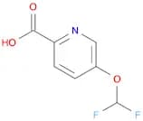 2-​Pyridinecarboxylic acid, 5-​(difluoromethoxy)​-
