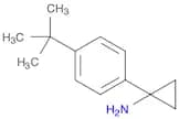 1-(4-tert-butylphenyl)cyclopropan-1-amine