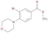 Methyl 3-bromo-4-morpholinobenzoate