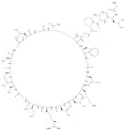 Rat C-type natriuretic peptide(1-22)