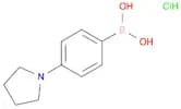 4-(Pyrrolidino)phenylboronic acid HCl