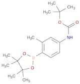 tert-Butyl 3-methyl-4-(4,4,5,5-tetramethyl-1,3,2-dioxaborolan-2-yl)phenylcarbamate