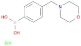 4-(morpholinomethyl)phenylboronic acid hydrochloride