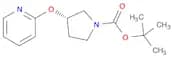 3-(Pyridin-2-yloxy)-pyrrolidine-1-carboxylic acid tert-butyl ester