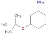 3-tert-Butoxycyclohexanamine