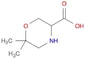 6,6-Dimethylmorpholine-3-carboxylic acid