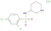 2,4-Dichloro-N-piperidin-3-yl-benzenesulfonamide hydrochloride