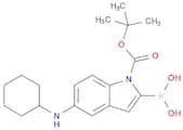 1H-Indole-1-carboxylic acid, 2-borono-5-(cyclohexylamino)-, 1-(1,1-dimethylethyl) ester