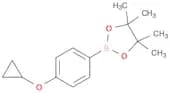 2-(4-Cyclopropoxy-phenyl)-4,4,5,5-tetraMethyl-[1,3,2]dioxaborolane