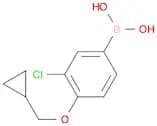 3-Chloro-4-(cyclopropylmethoxy)phenylboronic acid