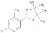 6-BROMO-4-METHYLPYRIDINE-3-BORONIC ACID PINACOL ESTER