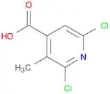 2,6-dichloro-3-methylpyridine-4-carboxylic acid