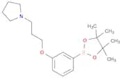 1-(3-(3-(4,4,5,5-tetramethyl-1,3,2-dioxaborolan-2-yl)phenoxy)propyl)pyrrolidine