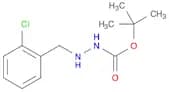 tert-butyl 2-(2-chlorobenzyl)hydrazinecarboxylate