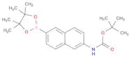 tert-Butyl 6-(4,4,5,5-tetramethyl-1,3,2-dioxaborolan-2-yl)naphthalen-2-ylcarbamate
